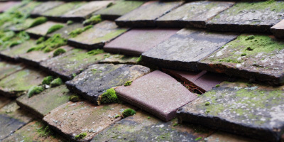 Brightwell Baldwin roof repair costs